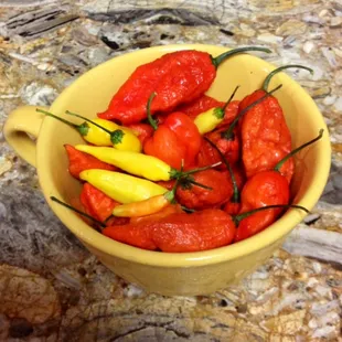 We even grow many of the chiles we use in are fresh salsas and condiments.