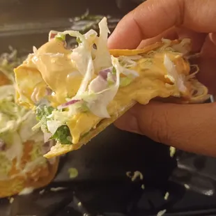 Octopus Taco