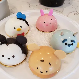 Dome cake class! They give you the container to take home also!