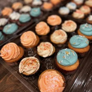 vanilla cupcakes with vanilla bean buttercream