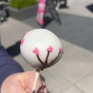 a person holding a white and pink lollipop