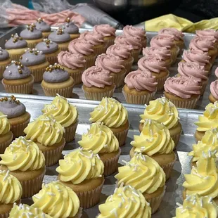 Custom mini cupcakes