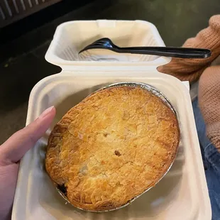 Chicken curry pie