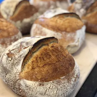 Sourdough
