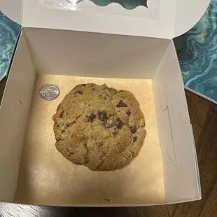 Chocolate pecan cookie