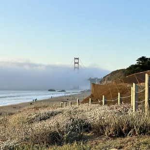 On a clear day you get one of the best views of the bridge at sea level