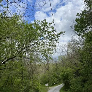 Walking from parking
