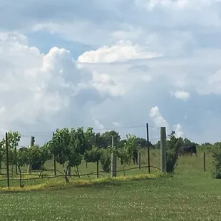 outside
