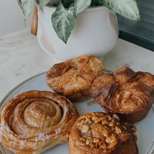 a plate of pastries and a potted plant