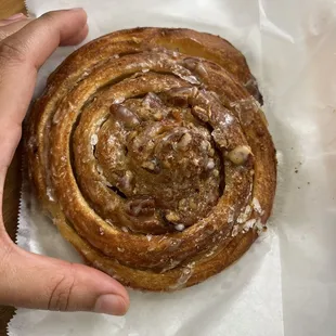 8/4/22 schneken the size of my hand