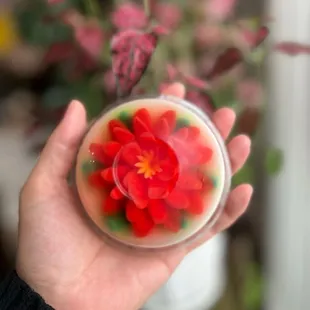 a hand holding a glass with a red flower in it