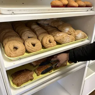 food, bagels, bagel