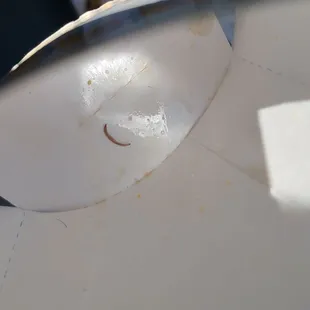 Finger nail at the bottom of the French frie box