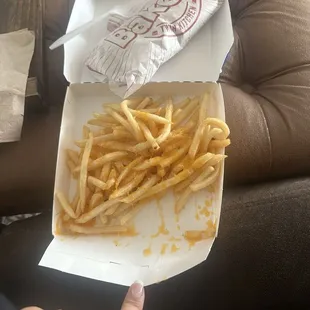 This is what I received after ordering cheese fries