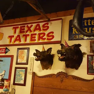 Think of these guys next time you are enjoying that pulled pork sandwich! :)