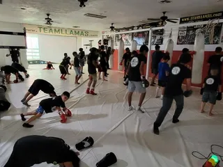 Llamas Competition Team