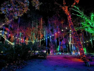 Holiday Lights at C.A.L.M.