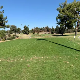 View from tee at Hole 8 the closest to the pin!
