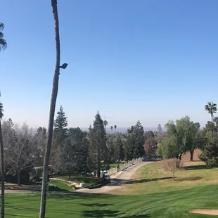 The views from up here, though!
