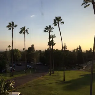 a view of the golf course