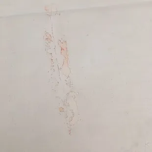 The blood in the bathtub