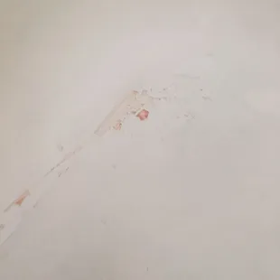 Blood in tub.