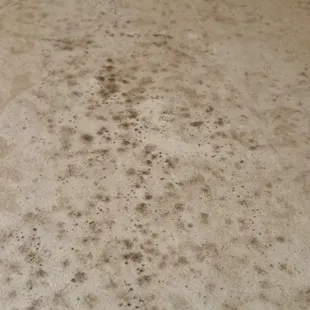 Disgusting smelly mold on the wall Please don't ever come here