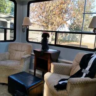 My pup bella looking out the window in the back of my boyfriend&apos;s fifth wheel