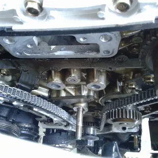 infinity i35 timing chain service