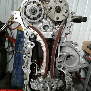 08 Toyota 1.8 timing chain service