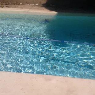 This is the finished pool after the pool rx and extra tri-chlor  shock. The water is crystal clear beautiful