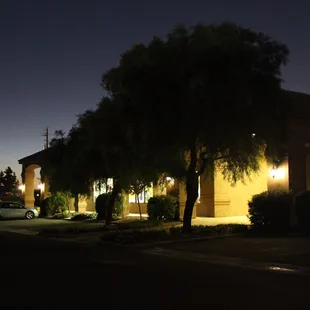 A beautiful evening for a relaxing walk. A great way to start the weekend.