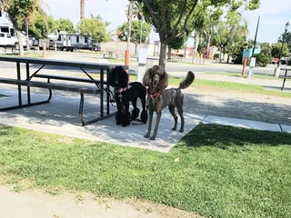 Bakersfield KOA Journey