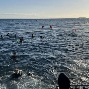 Bakersfield scuba advanced diving class! Catalina style!