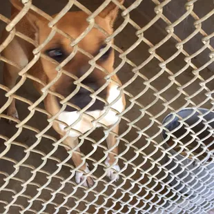 ...our new addition...