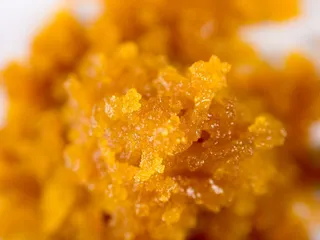 Kush King 20 Cap