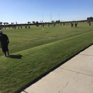 Fields for all to play