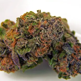 1/8ths for $20.00