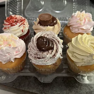 Cupcakes: 2 strawberries and cream, 1 Buckeye, 1 Tiramisu, 1 red velvet, 1 caramel cheesecake