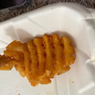 See that hair in the photo.