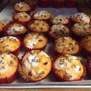 Freshly baked muffins