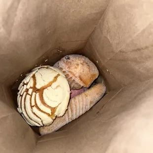 concha, ojo de pancho, &amp; pink elote