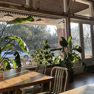 salads, interior