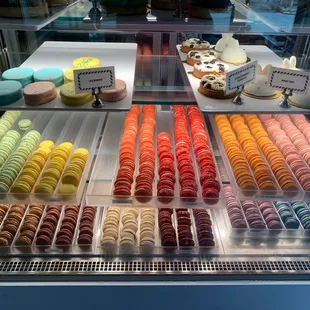 Display Case