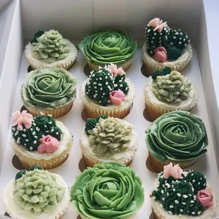 Buttercream Succulent Garden Cupcakes (standard size) in Green/Pink color palette.