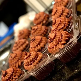 Chocolate cupcakes