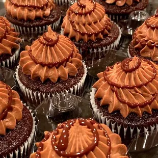 Chocolate Royale cupcakes