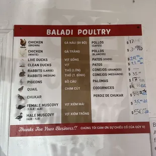 menu as of january 2025