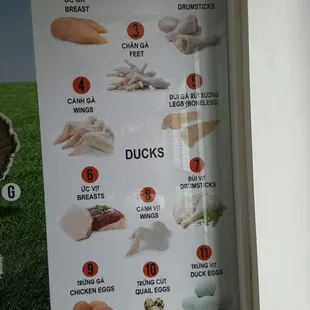 All sorts of poultry.