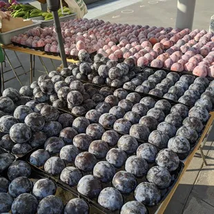 Plums and pluots, shelter in place